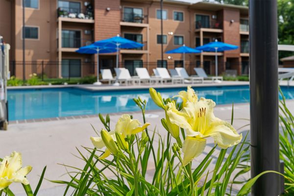 Colorful flowers and greenery along poolside fence