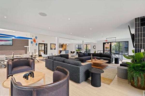 Spacious apartment lounge with multiple seating areas, modern decor, and natural light